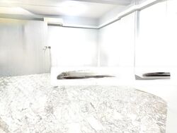 Blk 14 Kampong Arang Road (Kallang/Whampoa), HDB 3 Rooms #501880691